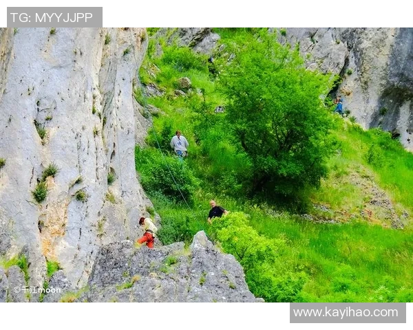 重庆攀岩队的防守策略揭秘与深度分析攀岩运动的挑战与机遇